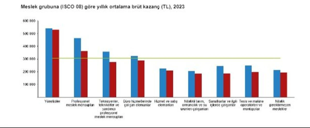 TÜİK kazanç yapısı istatistiklerini duyurdu: Aylık ortalama kişi başı brüt kazanç belli oldu! İşte kadın ve erkeklerin kazancı - 5. Resim