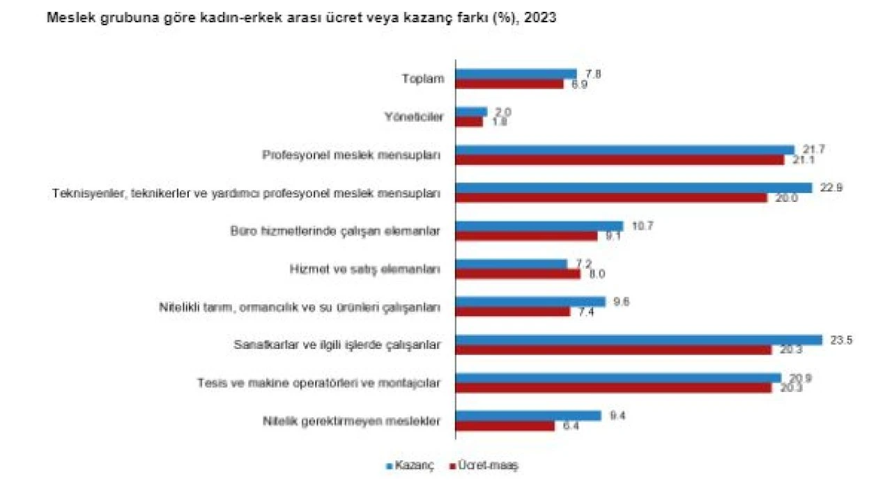 TÜİK kazanç yapısı istatistiklerini duyurdu: Aylık ortalama kişi başı brüt kazanç belli oldu! İşte kadın ve erkeklerin kazancı - 7. Resim