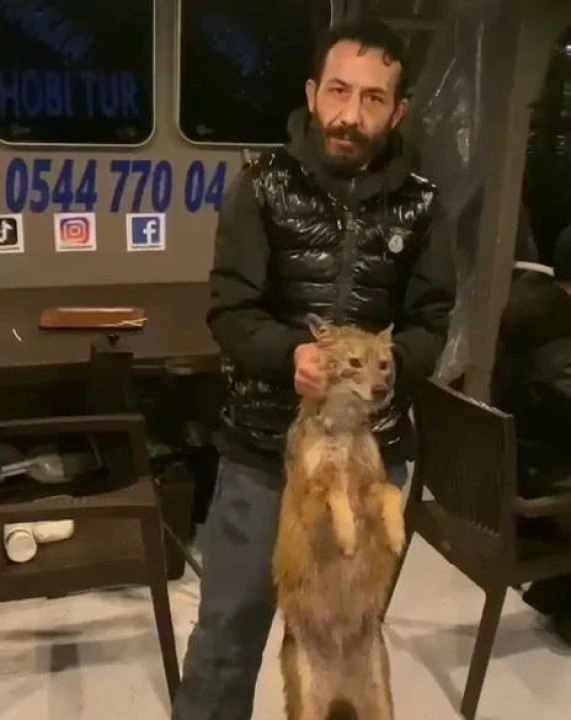 Balık tutmaya gitti, tilki yakaladı! İstanbul Boğazı'nda fıkra gibi olay - 1. Resim