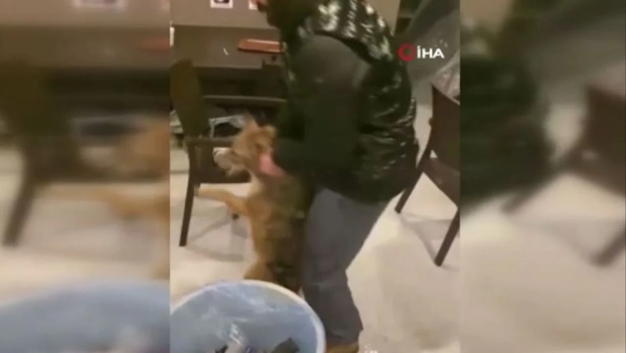 Balık tutmaya gitti, tilki yakaladı! İstanbul Boğazı'nda fıkra gibi olay - 2. Resim