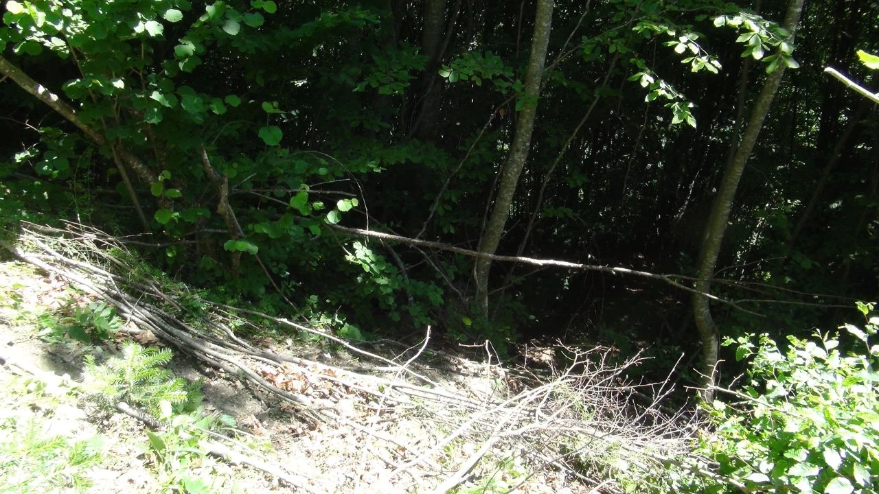 Kastamonu'daki vahşetle ilgili yeni gelişme! Öldürüp cesedini çuvalla denize attılar! Narin Güran cinayetindeki yöntem ile sır perdesi aralanacak - 3. Resim