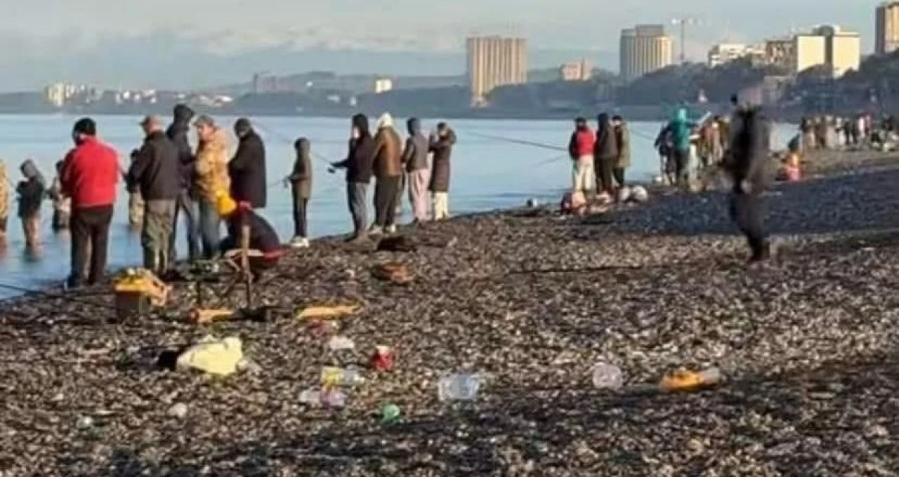 Oltasını alan oraya koştu! Gürcistan sahillerinde Türk somonu hareketliliği