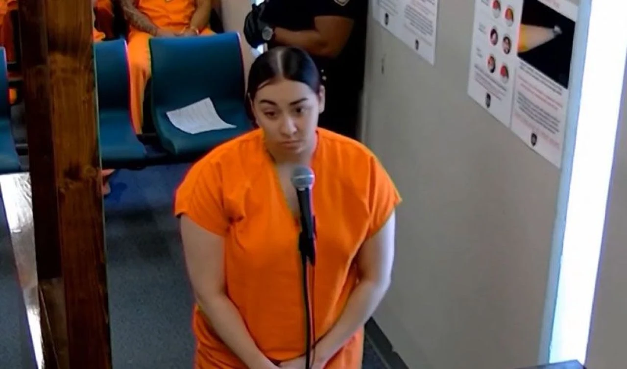 Kurye aldığı bahşişe sinirlendi! Hamile kadını 14 yerinden bıçakladı - 1. Resim