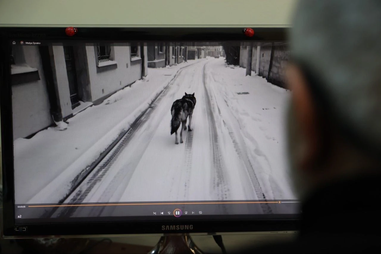 Yapay zeka 2025'te kaosa neden olabilir: Uzman isim 'önümüzdeki 2 aya dikkat çekerek' uyardı! - 2. Resim