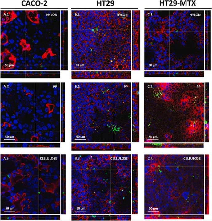 "Çay içiyorum" derken vücudunuzu zehirlemeyin! Poşet çayların çok büyük bir zararı keşfedildi - 2. Resim