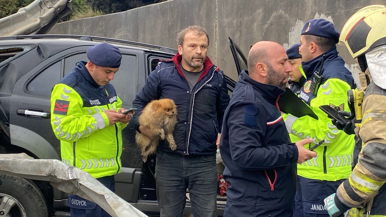 Kazada yaralanan sürücü köpeğini bir an olsun bırakmadı - 1. Resim