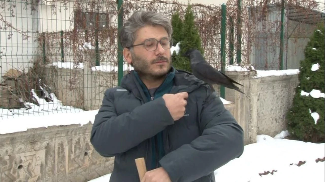Yavru karga doktoru bırakıp gitmedi: Bu dostluğu görenler şaşırıyor! - 2. Resim