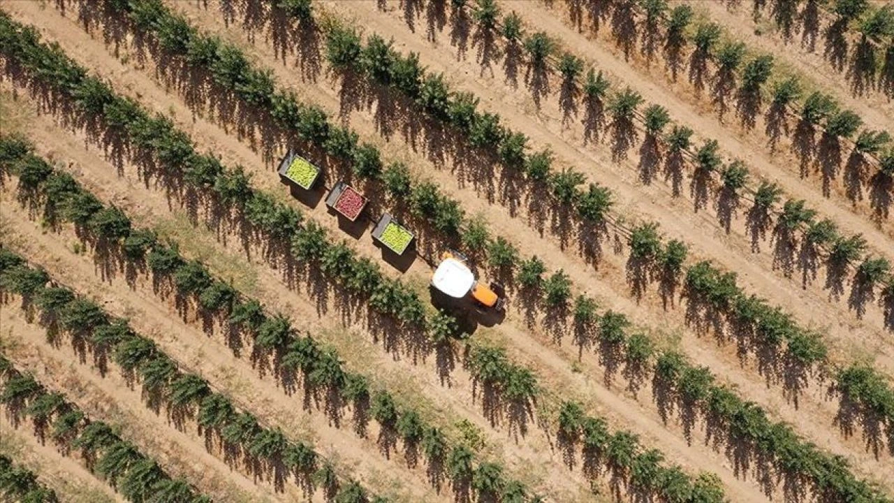 Bakan Yumaklı duyurdu: 527 milyon liralık ödeme bugün yapılacak