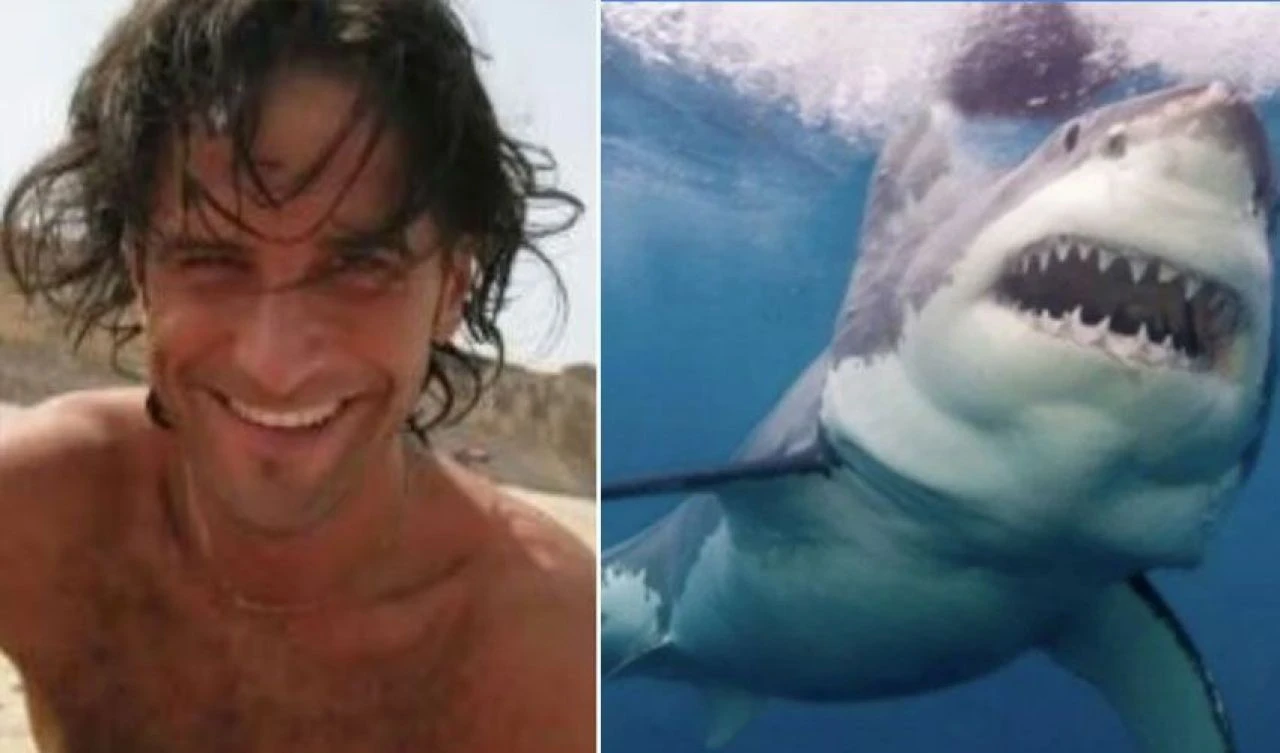 Mısır'ın ardından Avustralya'da köpek balığı dehşeti: Zıpkınla avlanırken av oldu - 2. Resim