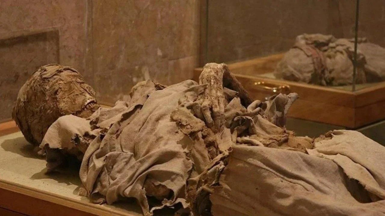 Üç bin yıllık Mısır mumyasının DNA'sından 'kara ölüm' çıktı - 1. Resim