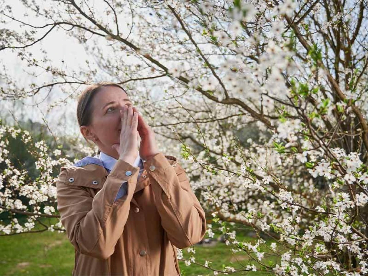 Alerjik burun tıkanıklığı neden olur ve nasıl geçer? Alerjik burun tıkanıklığına ne iyi gelir?