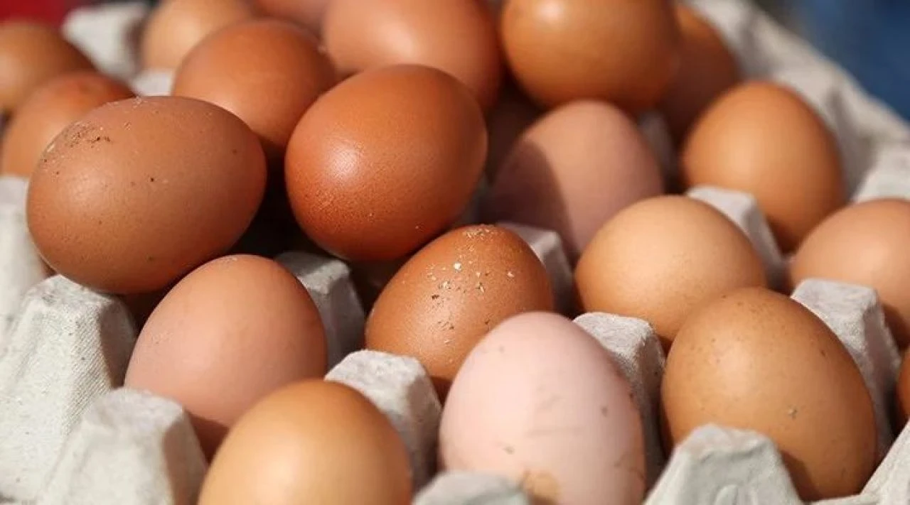 Erzincan'da bir garip olay! Yumurtadan çıkan şoke etti: Kırdığımda inanamadım