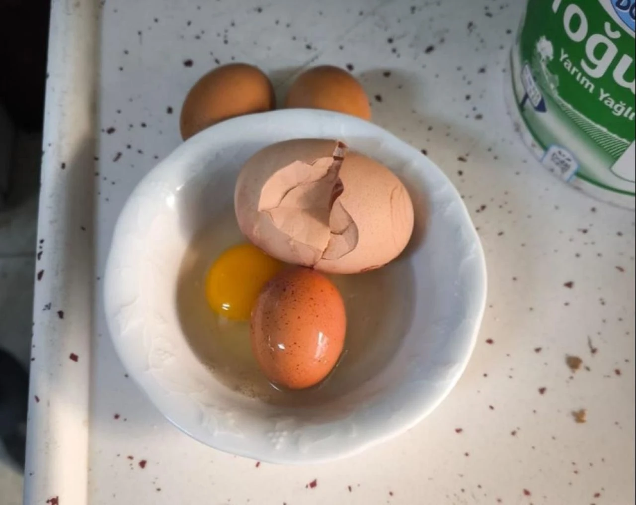 Erzincan'da bir garip olay! Yumurtadan çıkan şoke etti: Kırdığımda inanamadım