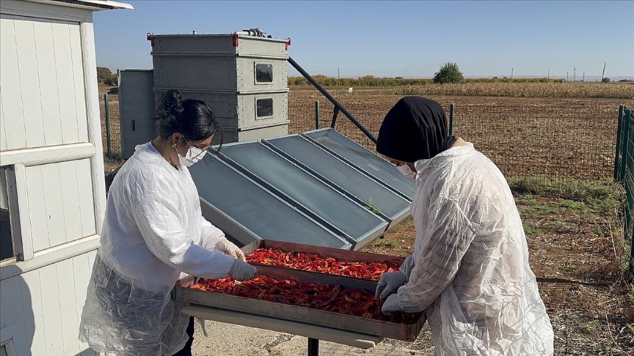 Güneş enerjisi ile çalışan biber kurutma makinesi üretildi: 5 günlük süre 1,5 güne iniyor