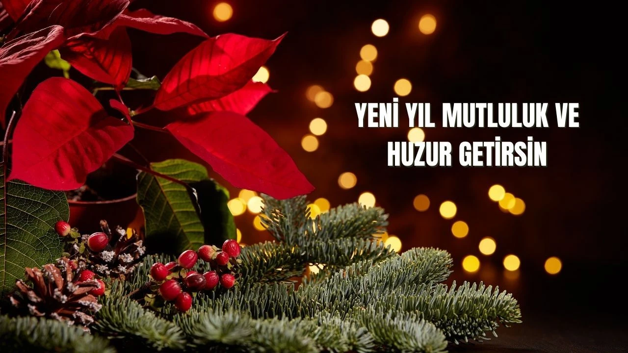 Yeni yıl mesajları arkadaşa, anneye, babaya kısa ve resimli! 2025 anlamlı ve duygusal yeni yıl sözleri - 2. Resim