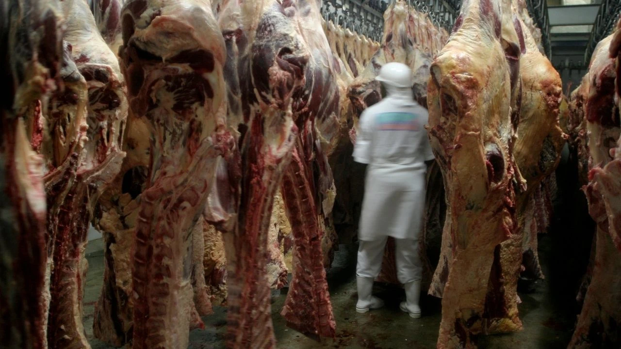 Kesimhane standartlarında devrim! Yeni formülü Bakan Yumaklı açıkladı: Artık zorunlu olacak