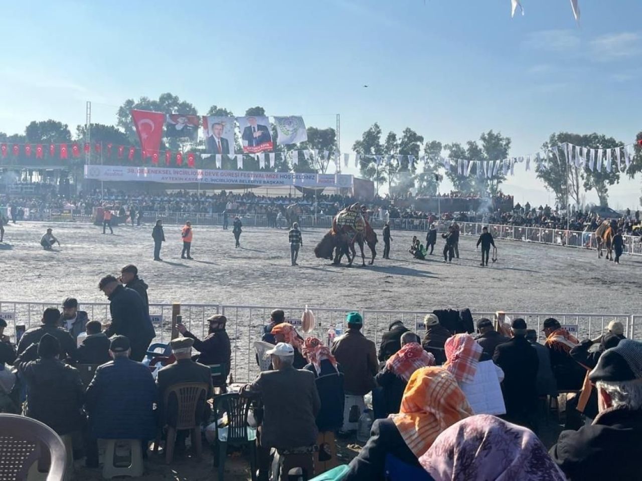 Bodrum ve İncirliova’da pehlivan develer arenada: Adrenalin dolu karşılaşma! - 3. Resim