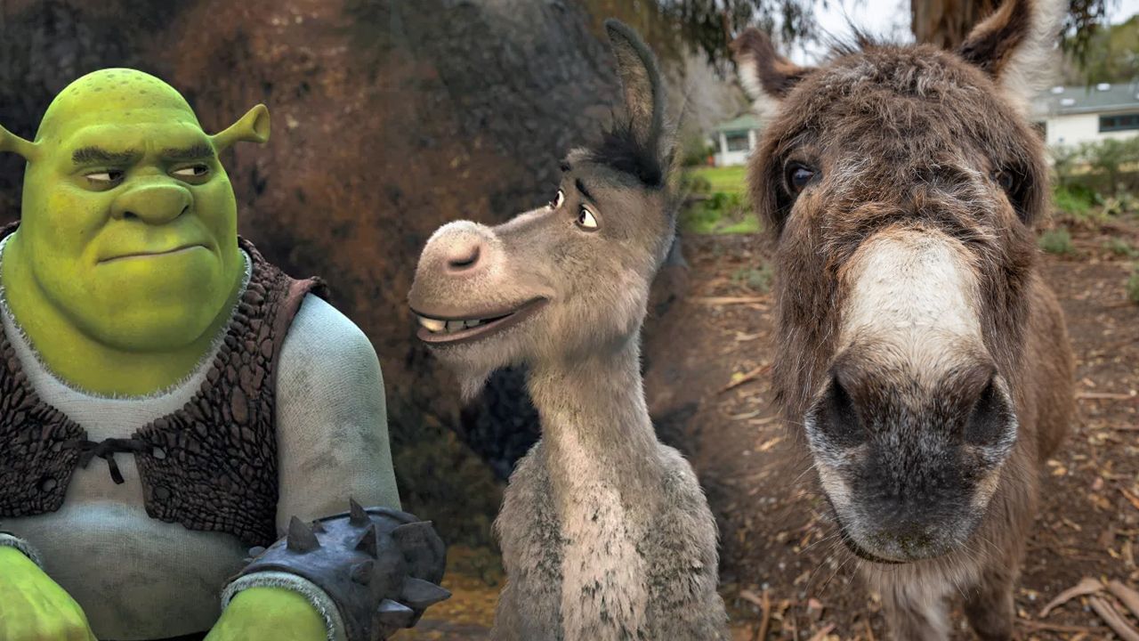 Shrek filmlerinde eşek karakterine ilham olan Perry 30 yaşında yaşama veda etti