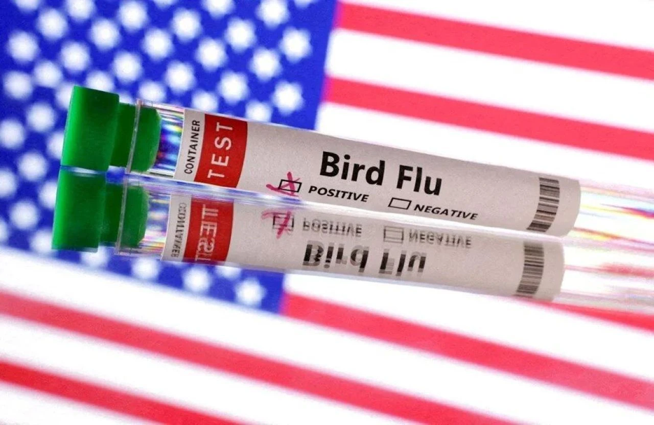 Kuş gribi insana nasıl bulaştı? ABD'de H5N1 virüsünden ilk ölüm - 2. Resim