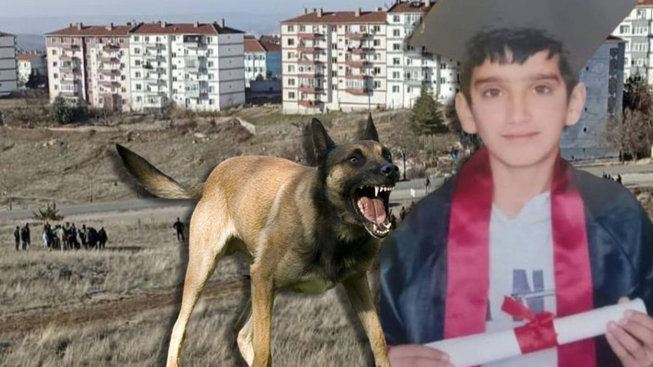 Ankara’da başıboş köpek dehşeti! 13 yaşındaki Hayrettin’i parçaladılar: Baba gözyaşları içinde dehşeti anlattı…