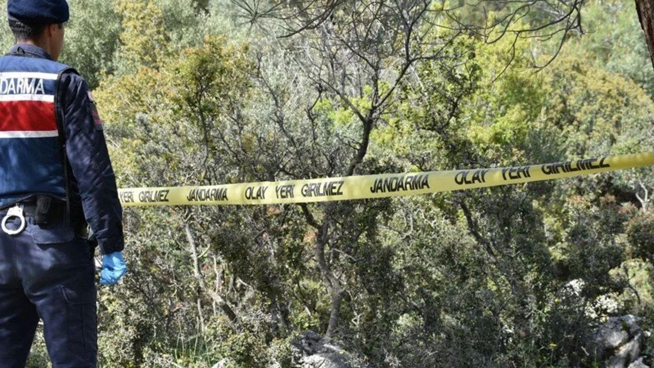 Kayıp olarak aranıyordu! Acı haber geldi... Ormanda ölü bulundu