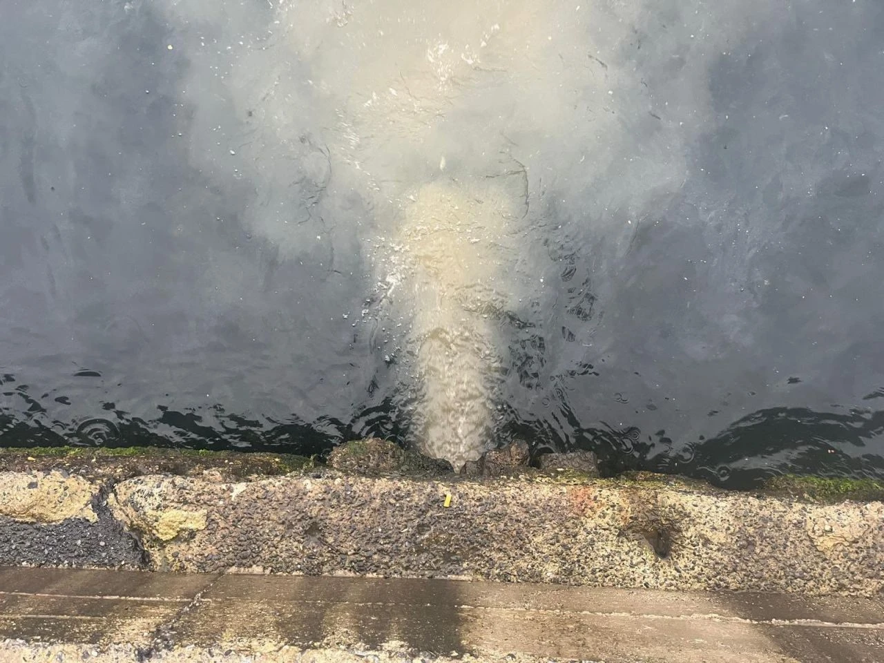 Üsküdar'da mide bulandıran deniz görüntüsü: 'İnsan dışkısıyla doluyor' - 2. Resim