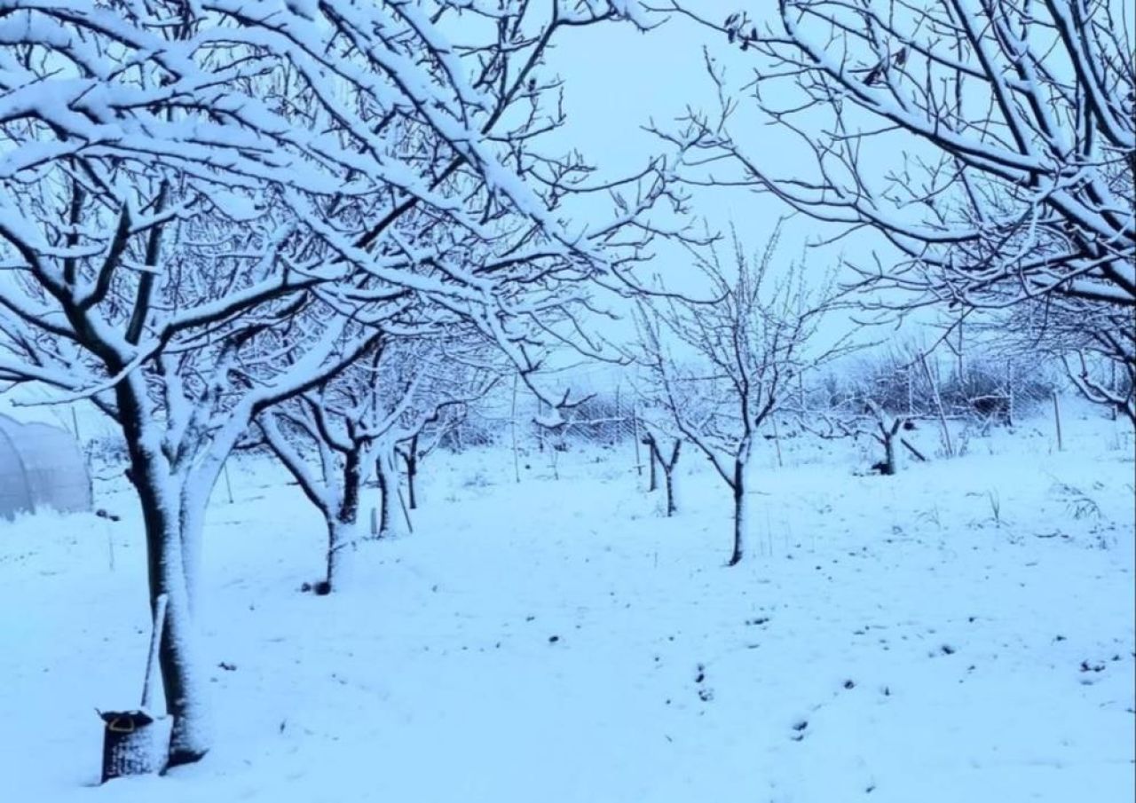 Edirne ve Tekirdağ beyaza büründü! Kar bulutları İstanbul'a geliyor - 2. Resim