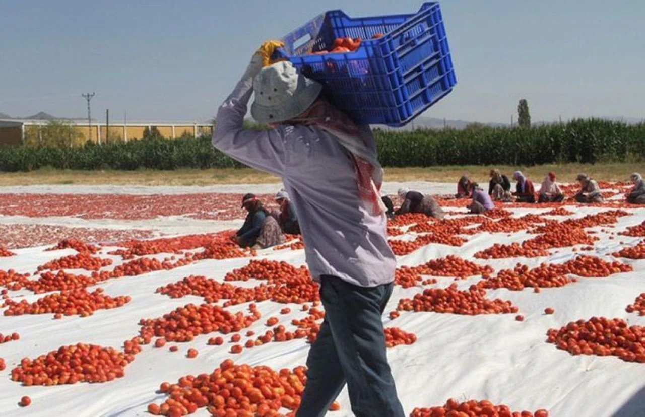 Geleceğin meslekleri açıklandı! Türkiye'de en çok aranacak meslekler belli oldu - 2. Resim