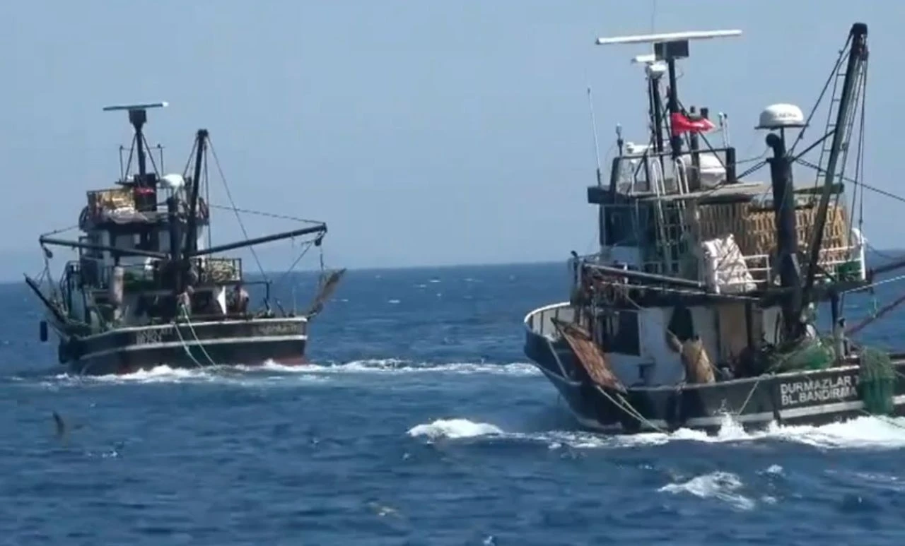 Ege Denizi'nde çipura savaşı! Yunanlar Türk balıkçıları suçluyor - 2. Resim