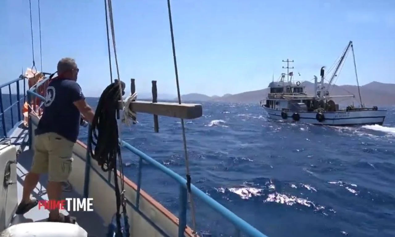 Ege Denizi'nde çipura savaşı! Yunanlar Türk balıkçıları suçluyor - 1. Resim