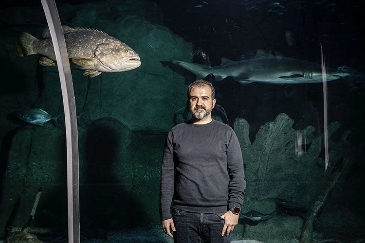 İstanbul'da 4 yıldır tedavi gören caretta caretta mavi sularla buluşacağı günü bekliyor - 4. Resim