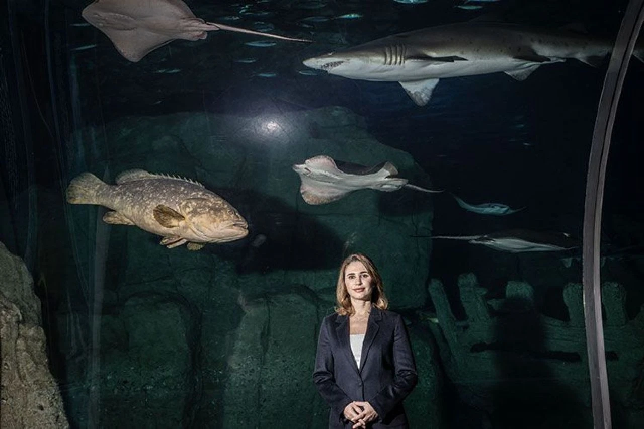 İstanbul'da 4 yıldır tedavi gören caretta caretta mavi sularla buluşacağı günü bekliyor - 2. Resim