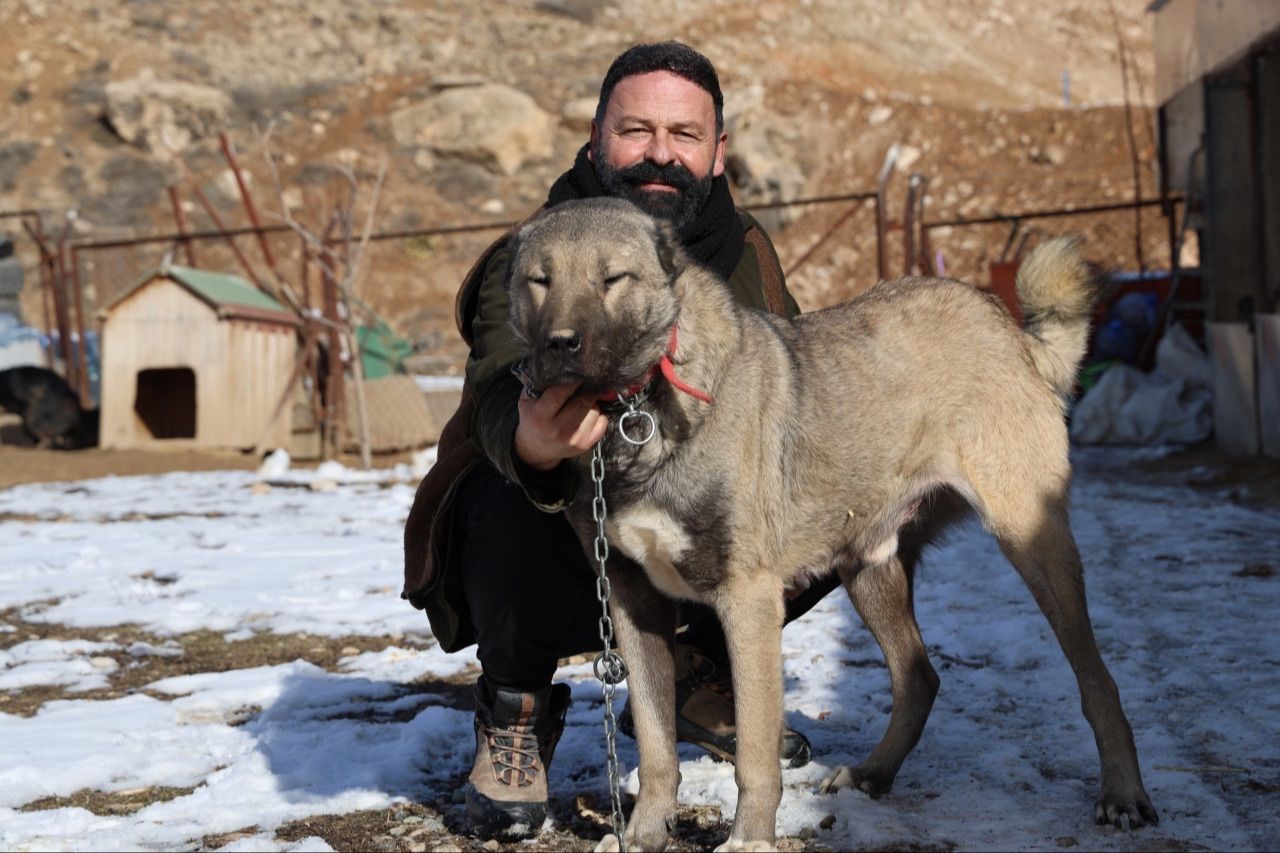 Kangal köpekleri alarm veriyor: Küresel ısınma karakterlerini değiştirdi - 1. Resim