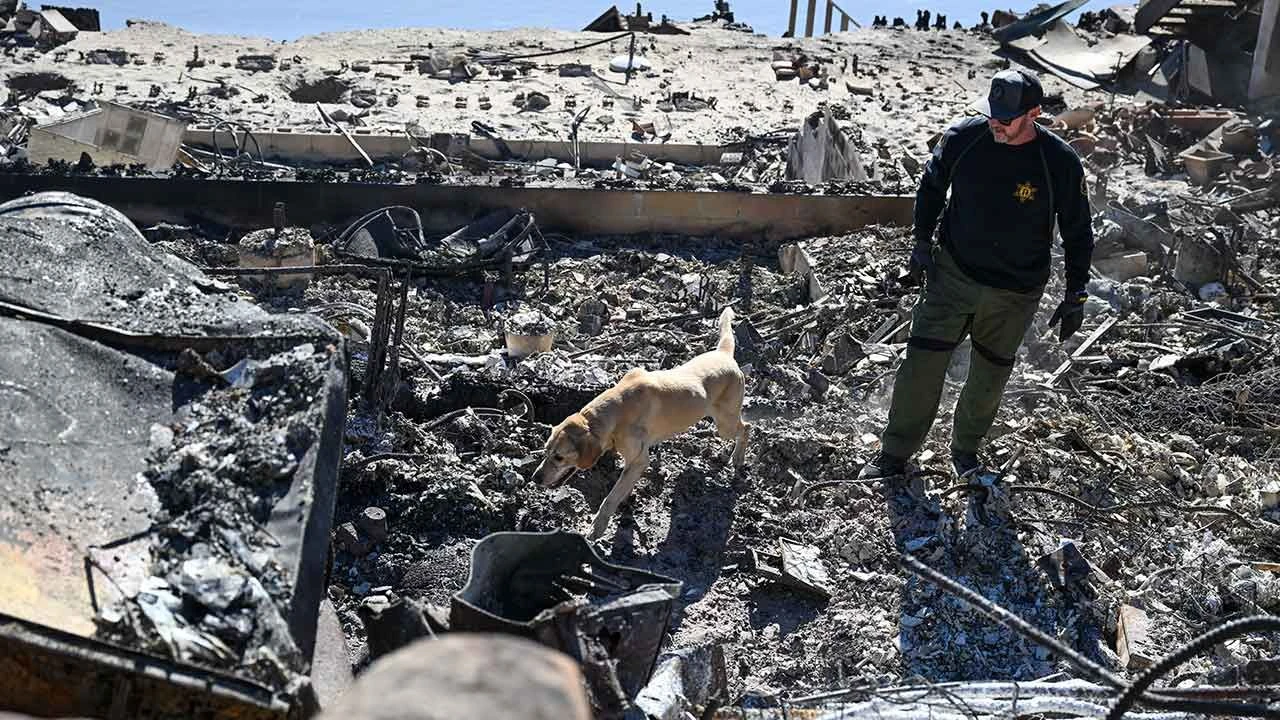 Los Angeles'taki yangınlarda elektrik dağıtım şirketine dava