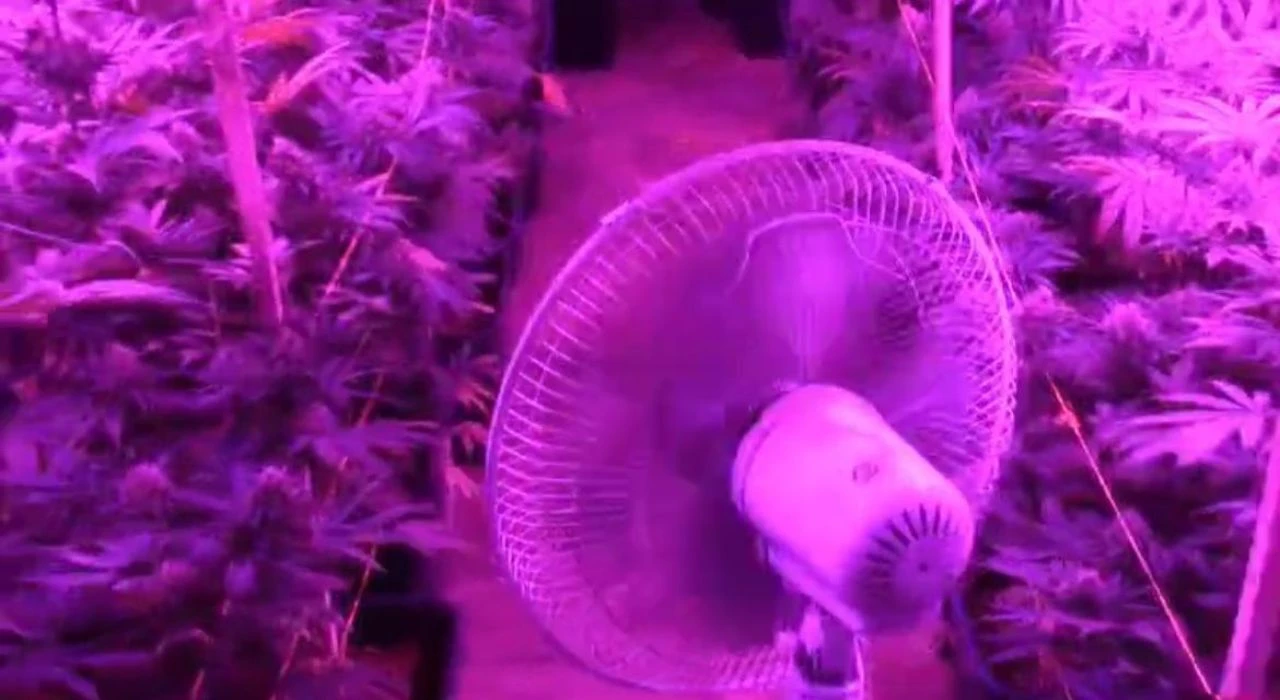 Ekipler gördükleri manzaraya inanamadı! Evi özel üretim uyuşturucu fabrikasına çevirmişler