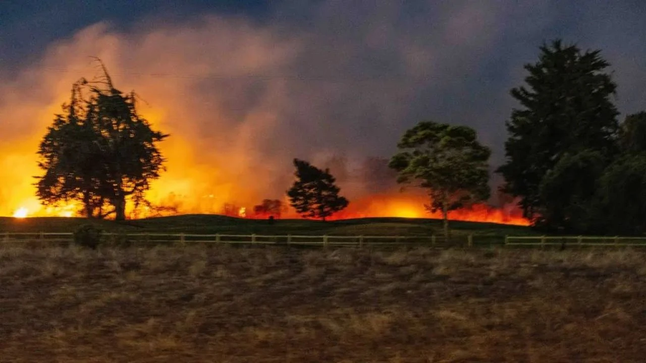 Los Angeles'taki Hollywood kabusu yangınlar ne zaman son bulacak? Kaos isteyenler var!