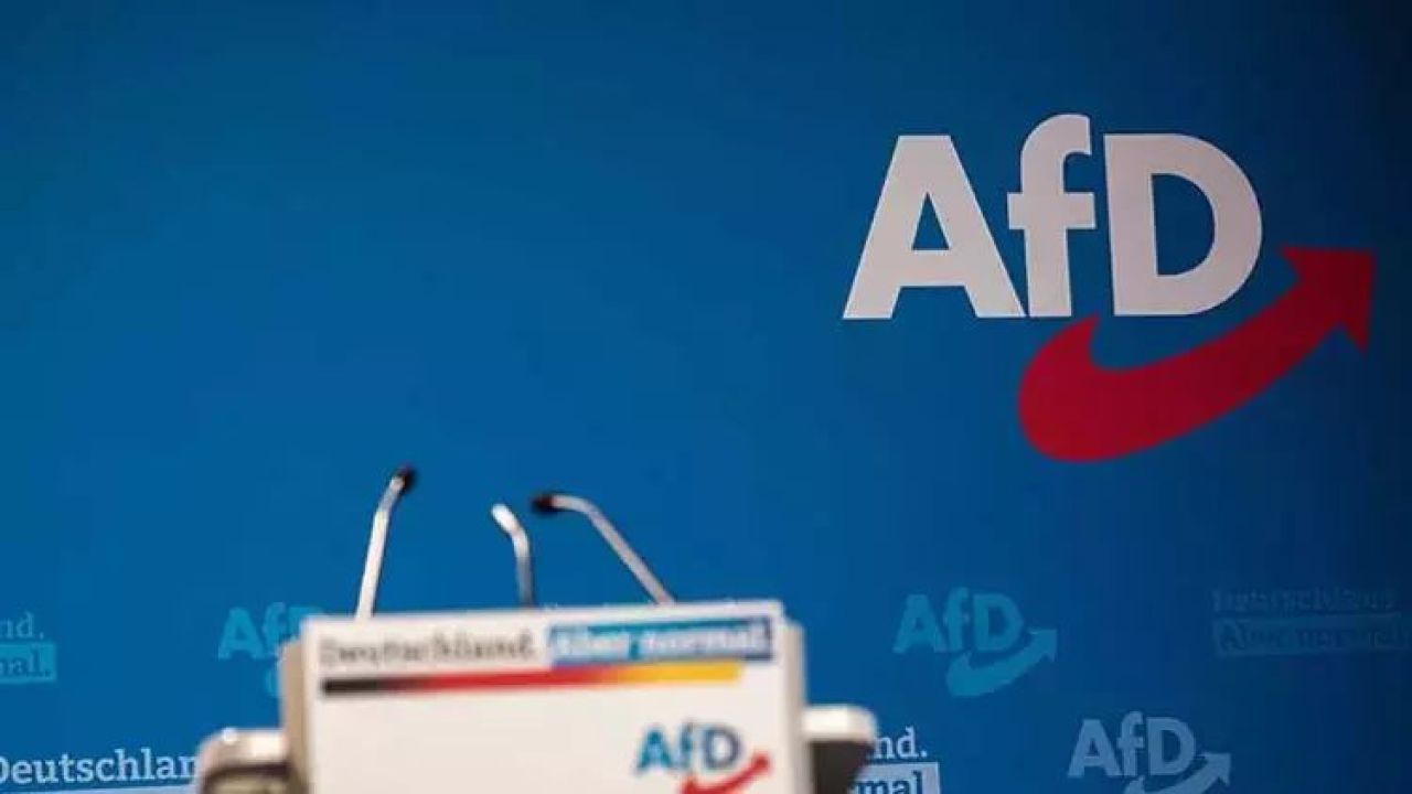 Almanya'da aşırı sağcı AfD partisinden göçmenlere karşı 'tek yön bilet' kampanyası! Tepkiler çığ gibi - 2. Resim