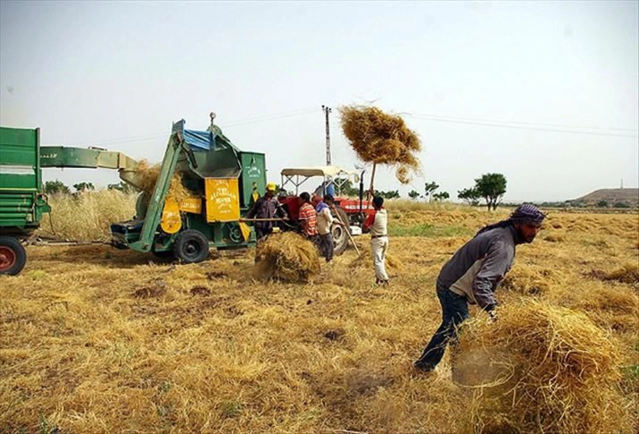 Çiftçinin enflasyonu belli oldu! Tarım ürünleri üretici fiyatları yıllık yükseldi