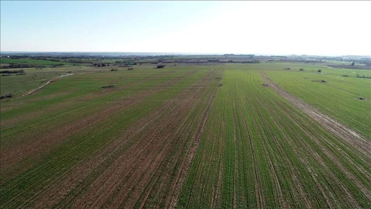 Nereden arsa alınır, metrekare fiyatı ne kadar olmalı? Uzman isimden arsa alım tüyoları