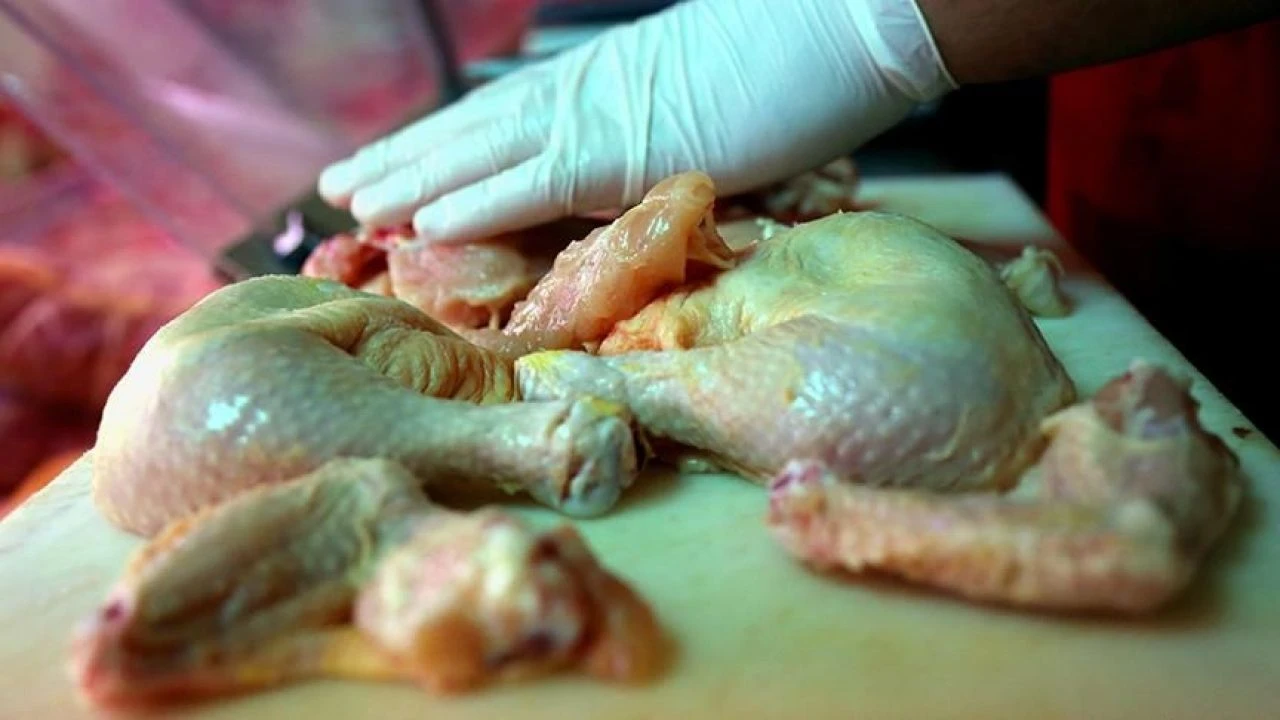 Salmonella hangi gıdalarda bulunur? - 1. Resim