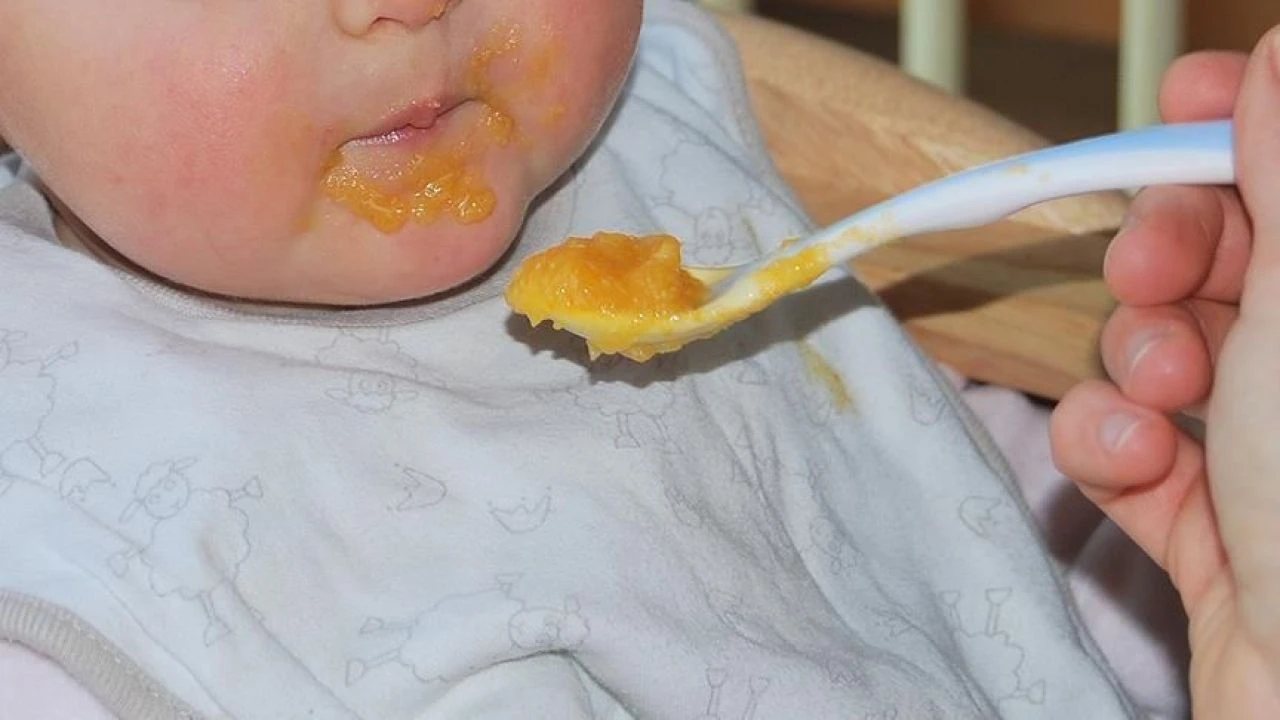 Salmonella hangi gıdalarda bulunur? - 2. Resim