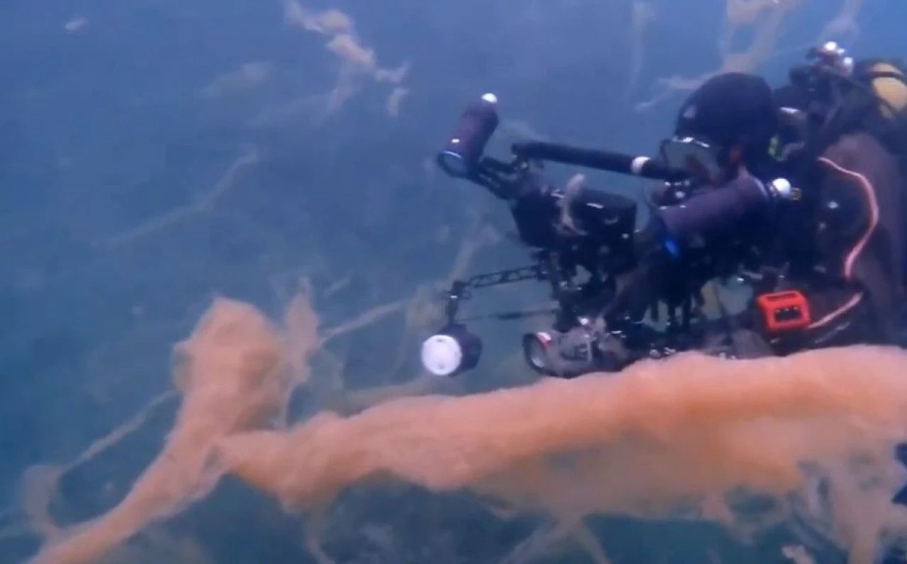 İstanbul'dan Marmara'ya 'zehir' akışı: Yeni müsilaj kabusu! - 1. Resim