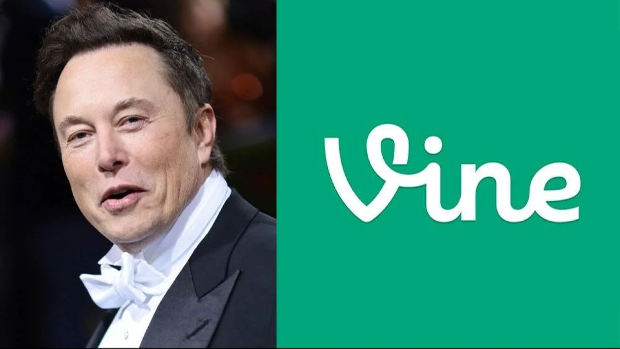 Vine geri açılacak mı? Elon Musk konuyla ilgili yeni gönderi paylaştı - 2. Resim