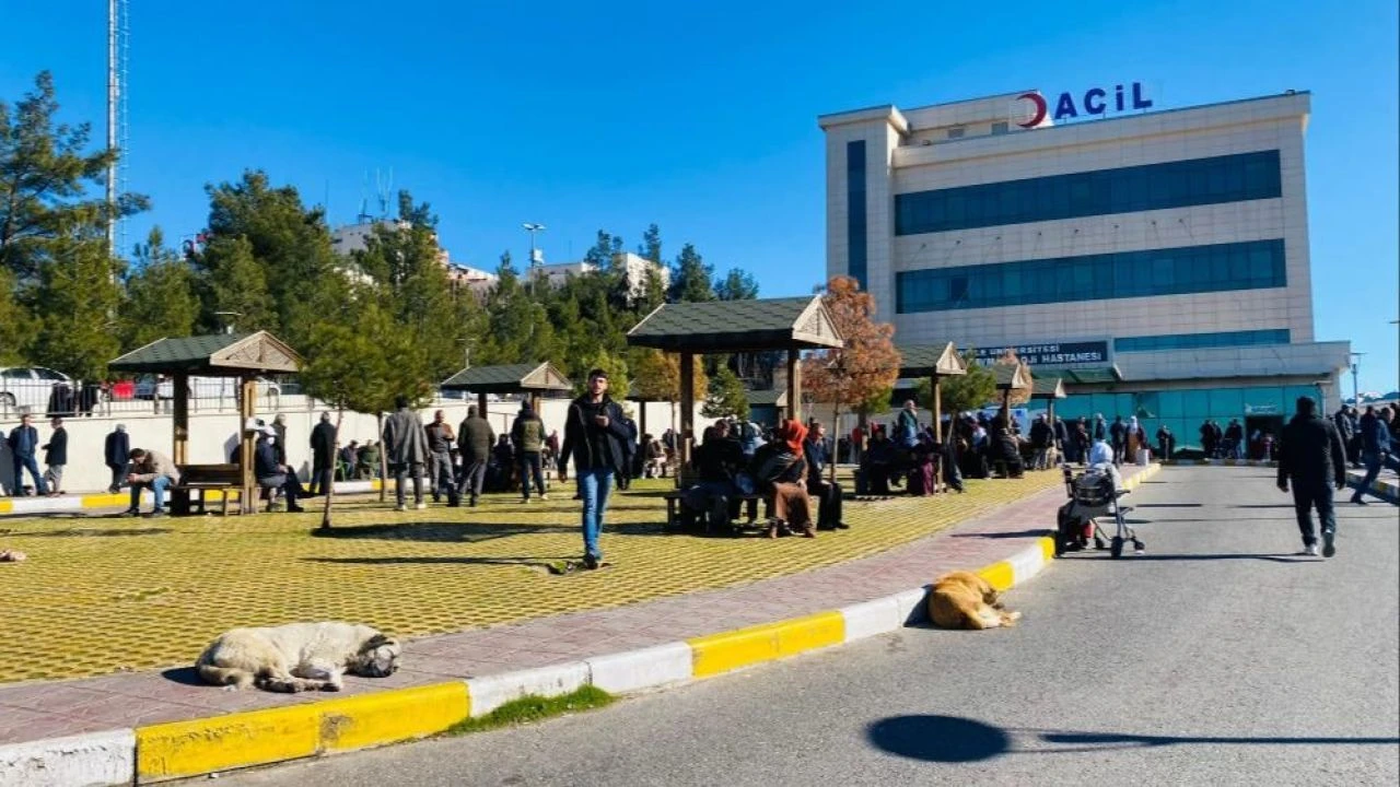 Bir başıboş köpek dehşeti daha! 5 yaşındaki çocuk kafasından yaralandı - 2. Resim