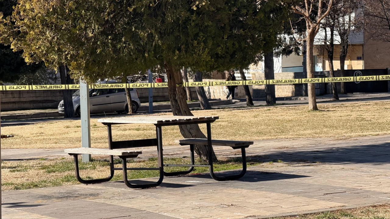 Genç kadın parkta silahlı saldırıya uğramıştı! Dehşete düşüren olayın detayları ortaya çıktı