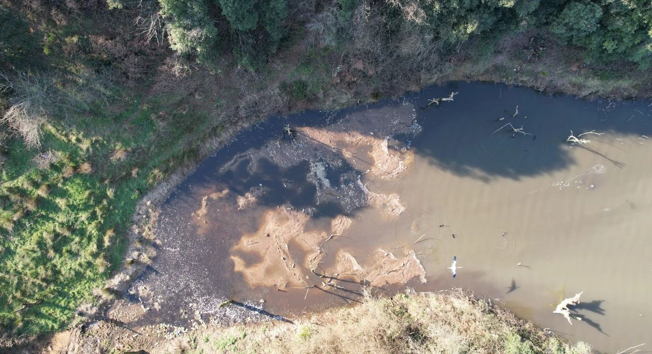 İstanbul'da korkutan görüntü! Binlerce balık öldü - 1. Resim