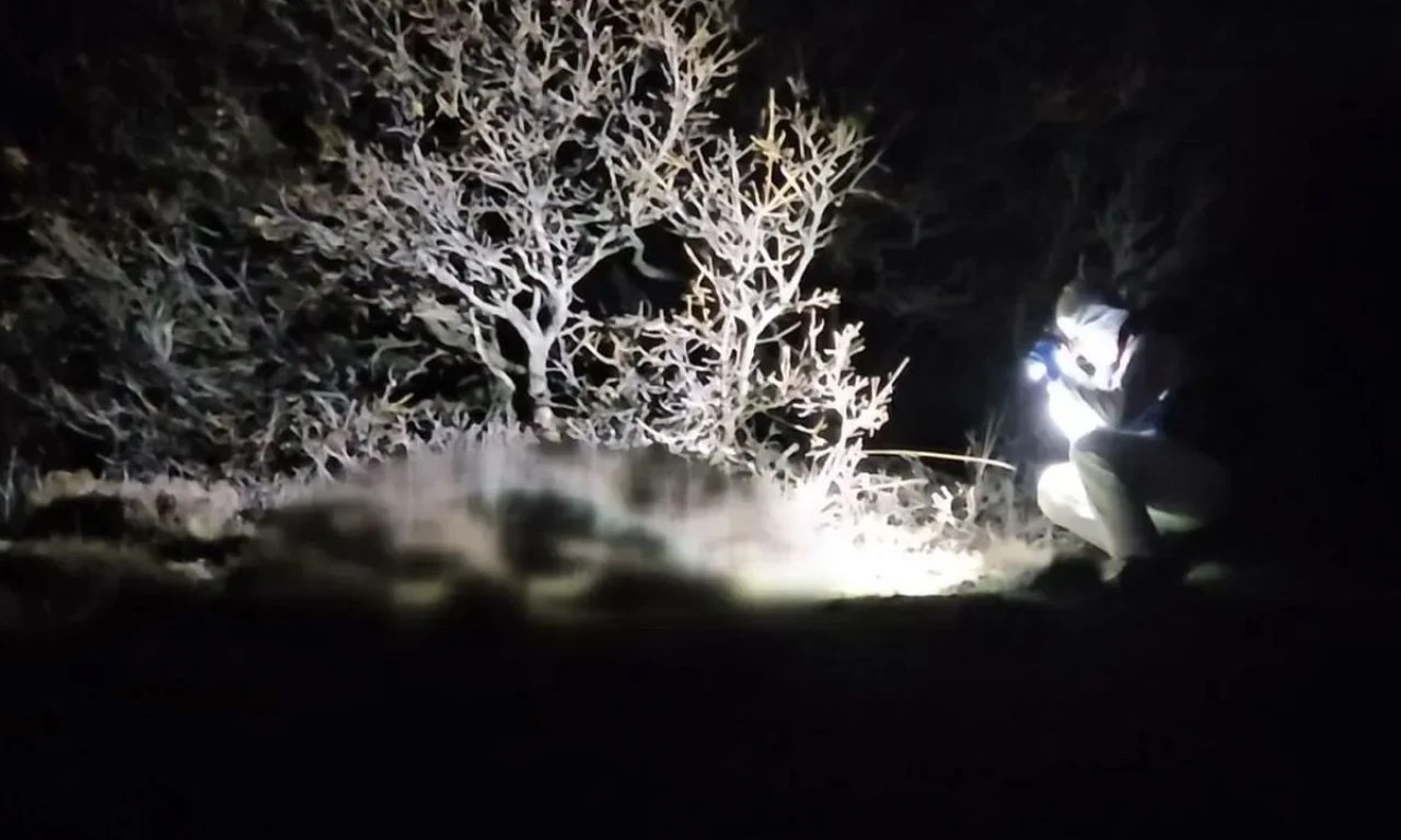 Ormanlık alanda cesedi bulunmuştu... Kimliği belirlendi - 1. Resim