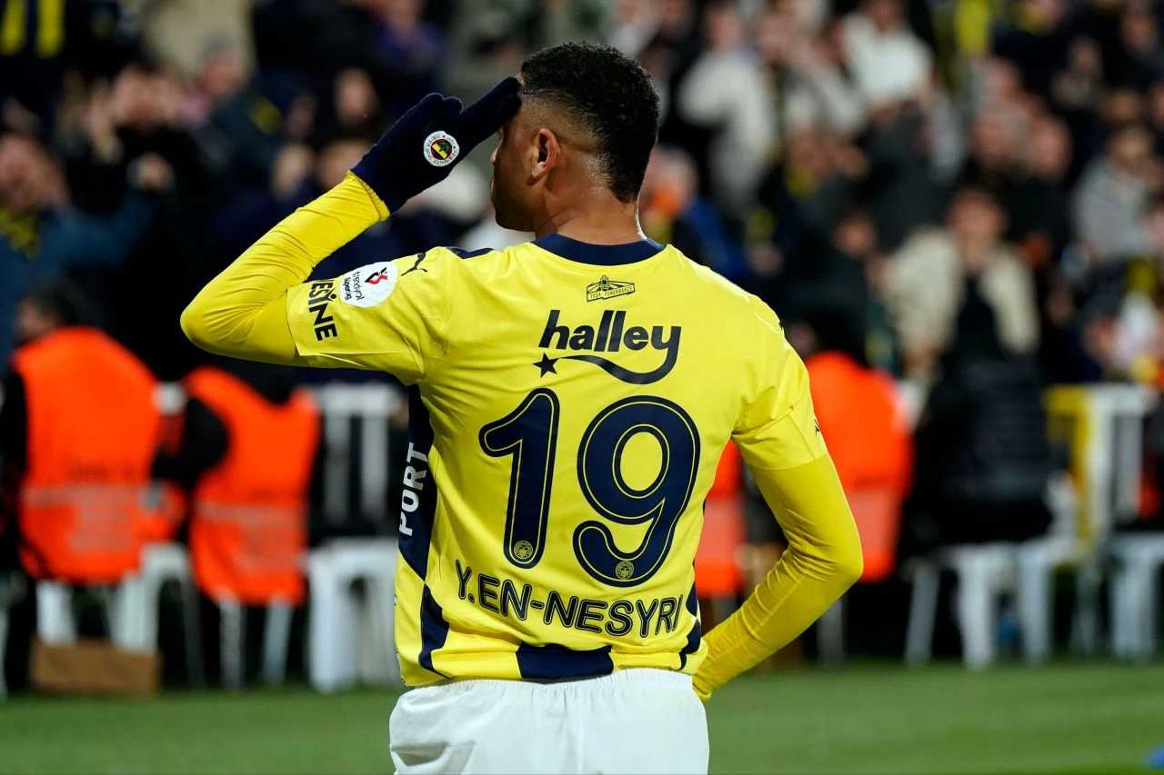 Fenerbahçe Lyon - 2. Resim