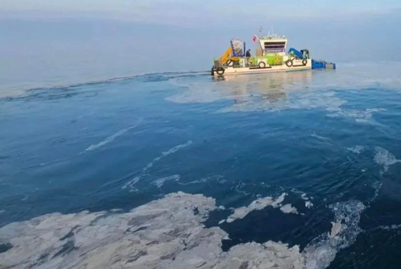 Marmara Denizi'nde müsilaj temizliği! - 1. Resim