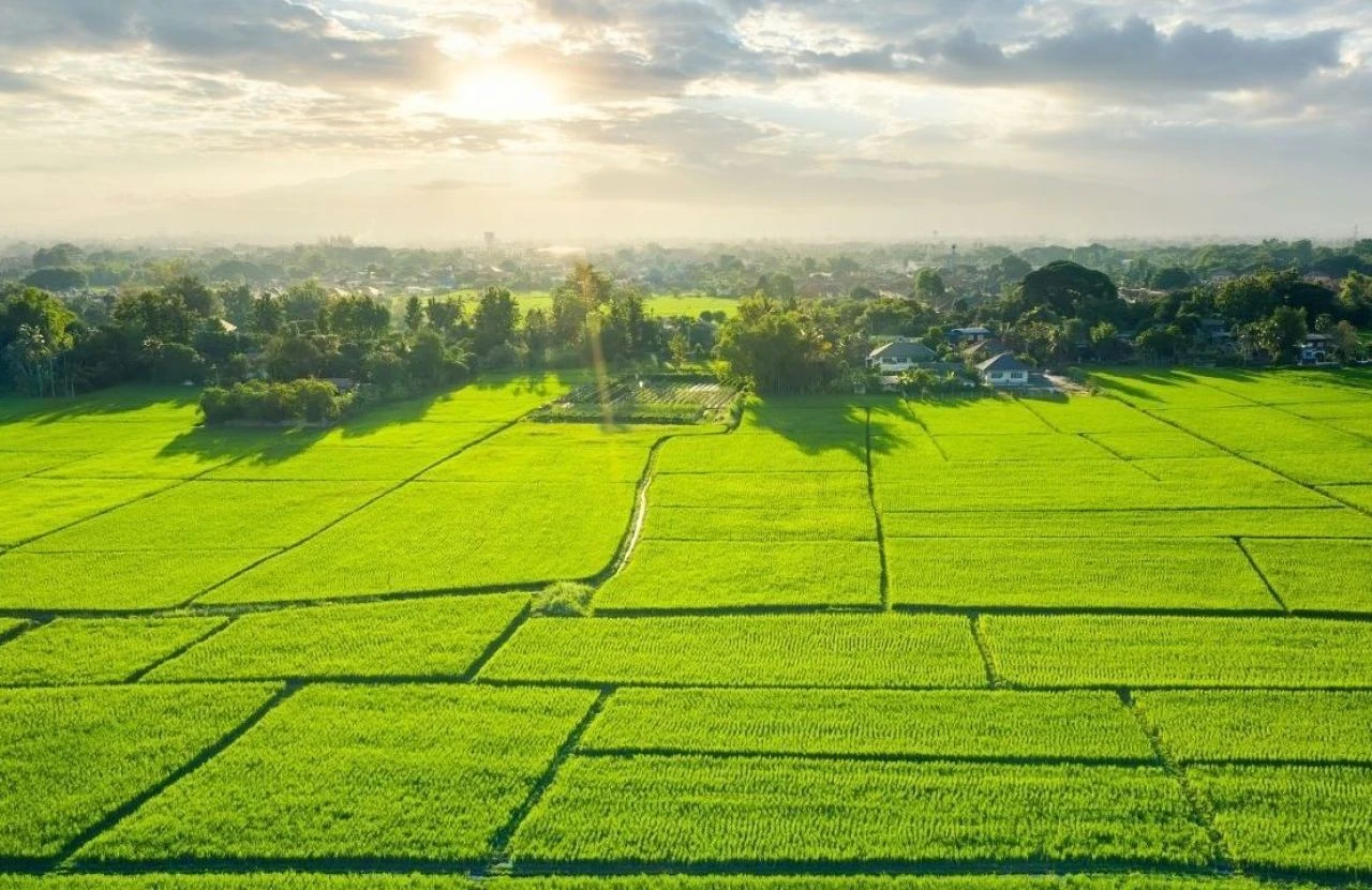 Tapu sahiplerine 15 gün süre tanındı! O belgeyi almak zorunlu - 2. Resim